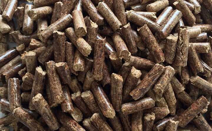 鋸末顆粒機生產(chǎn)的生物質(zhì)顆粒燃料.jpg