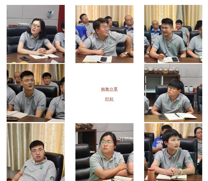 銷售精英們結合自己特點進行工作匯報。.jpg