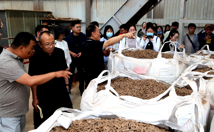 云南宣威：木屑顆粒機(jī)讓廢物“變”燃料 增收又環(huán)保